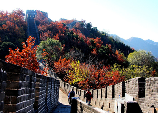 Most beautiful autumn scenery in Mutianyu Great Wall