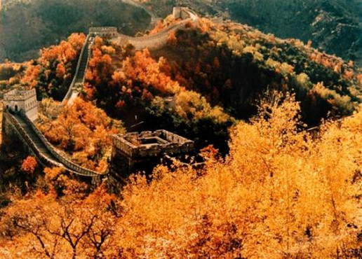 Although the beijing has winter, beautiful autumn still exist