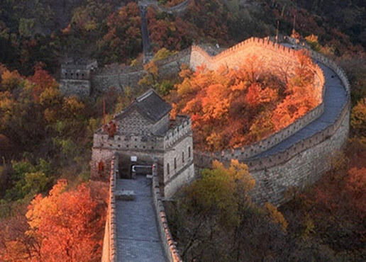 The most beautiful red leaves of the Mutianyu Great Wall